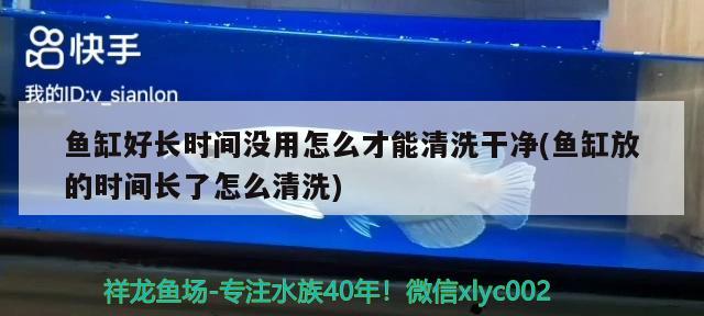 銀龍魚掉了十多片鱗片還能活嗎：銀龍魚掉了十多片鱗片還能活嗎 銀龍魚 第2張