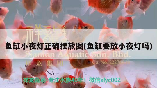 魚(yú)缸小夜燈正確擺放圖(魚(yú)缸要放小夜燈嗎) 虎紋銀版魚(yú)