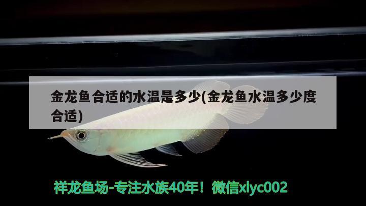 綏化二手魚缸市場地址在哪里?。ń椈拄~缸市場地址在哪里啊電話）