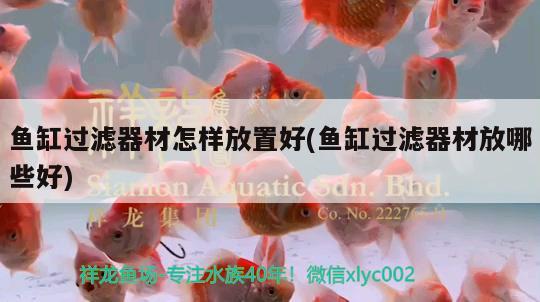 魚缸過濾器材怎樣放置好(魚缸過濾器材放哪些好) 其它水族用具設(shè)備