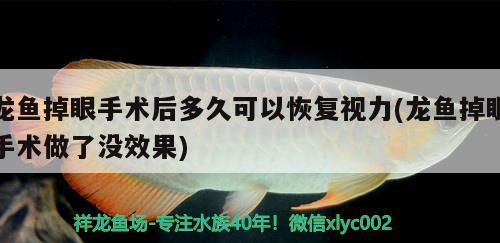 魚缸磨邊是直邊斜邊好，魚缸磨邊是直邊斜邊好嗎 觀賞魚 第2張