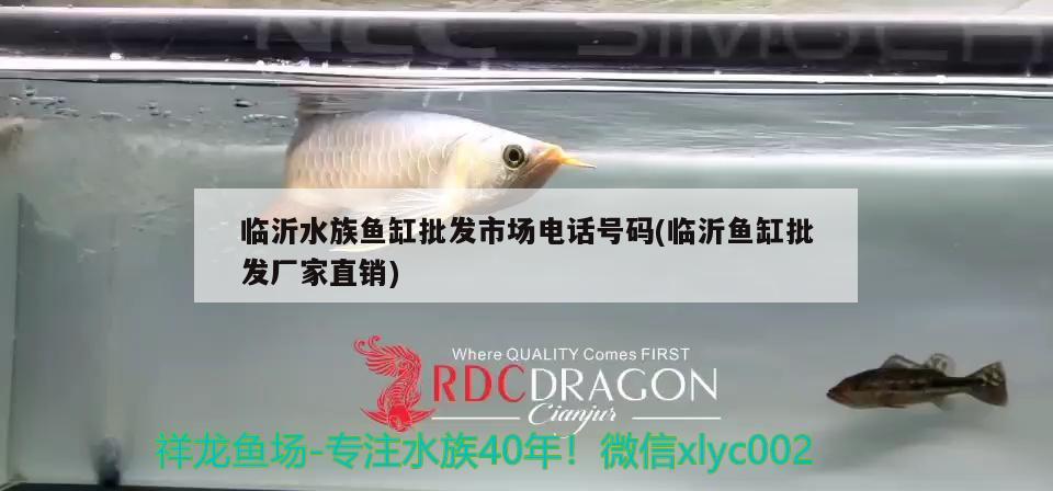 臨沂水族魚缸批發(fā)市場(chǎng)電話號(hào)碼(臨沂魚缸批發(fā)廠家直銷)