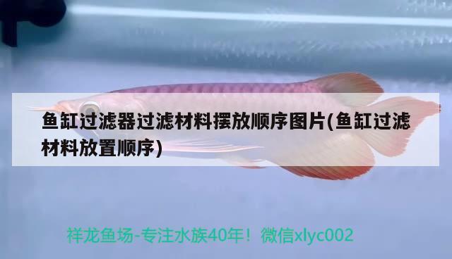 魚缸過濾器過濾材料擺放順序圖片(魚缸過濾材料放置順序)