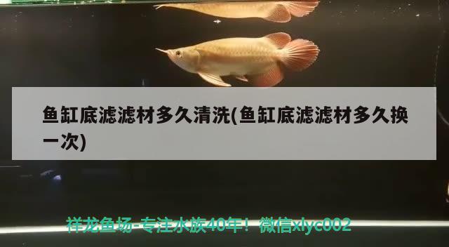 魚缸底濾濾材多久清洗(魚缸底濾濾材多久換一次)