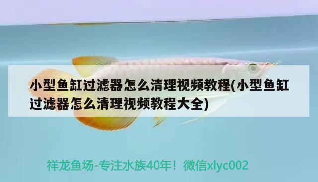 森森魚缸是超白嗎森森的金晶超白用的是什么（森森魚缸是超白嗎和森森的魚缸為什么不好）