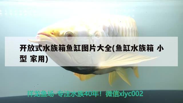 生態(tài)魚缸的構(gòu)造原理(生態(tài)魚缸原理圖) 金龍魚糧 第1張