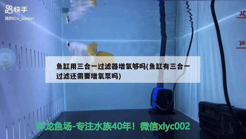 魚缸用三合一過濾器增氧夠嗎(魚缸有三合一過濾還需要增氧泵嗎)