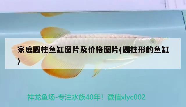 家庭圓柱魚缸圖片及價(jià)格圖片(圓柱形的魚缸) 馬拉莫寶石魚