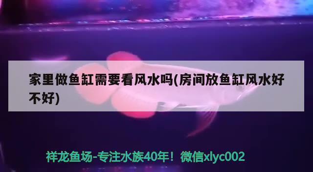 家里做魚(yú)缸需要看風(fēng)水嗎(房間放魚(yú)缸風(fēng)水好不好) 魚(yú)缸風(fēng)水