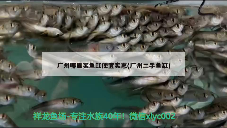 廣州哪里買魚缸便宜實惠(廣州二手魚缸) 潛水泵