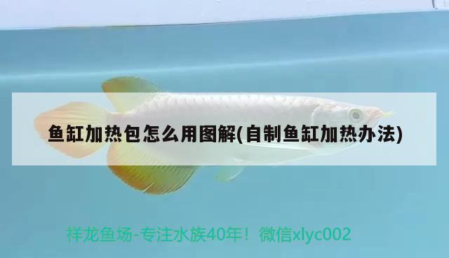 哪種魚缸質量好又便宜（養(yǎng)龍什么魚缸好!要性價比高的） 水族雜談 第2張