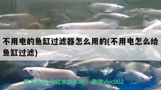 不用電的魚缸過濾器怎么用的(不用電怎么給魚缸過濾) 廣州水族器材濾材批發(fā)市場