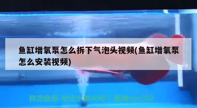 魚缸增氧泵怎么拆下氣泡頭視頻(魚缸增氧泵怎么安裝視頻) 水族燈（魚缸燈）