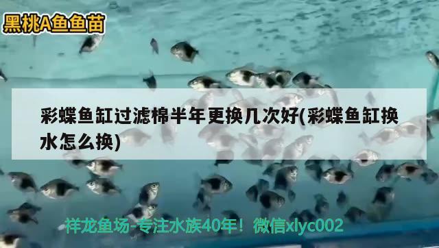 彩蝶魚缸過濾棉半年更換幾次好(彩蝶魚缸換水怎么換)