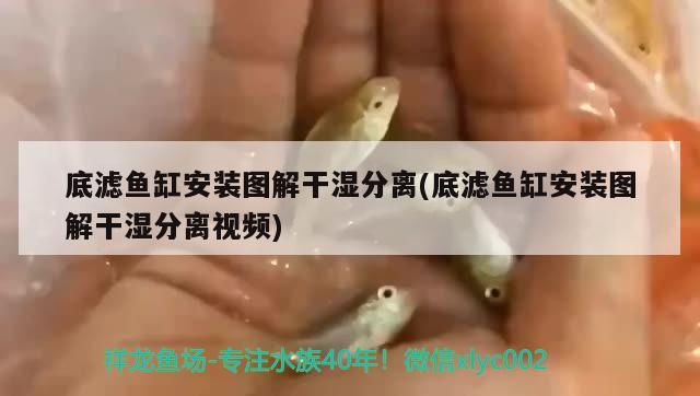 底濾魚(yú)缸安裝圖解干濕分離(底濾魚(yú)缸安裝圖解干濕分離視頻)