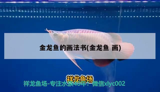 金龍魚的畫法書(金龍魚畫)