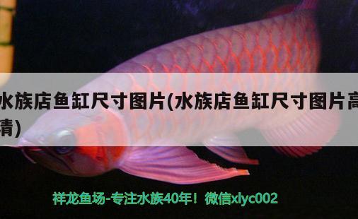 水族店魚缸尺寸圖片(水族店魚缸尺寸圖片高清)