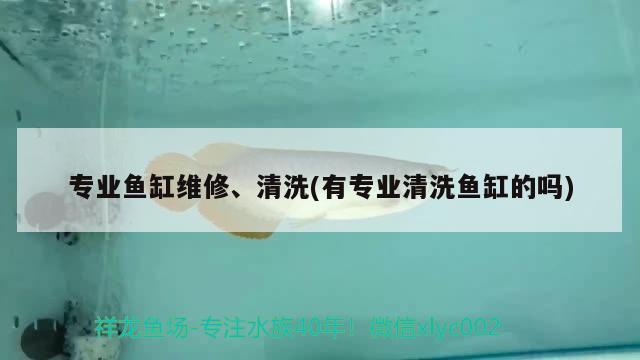 專業(yè)魚缸維修、清洗(有專業(yè)清洗魚缸的嗎) 朱巴利魚