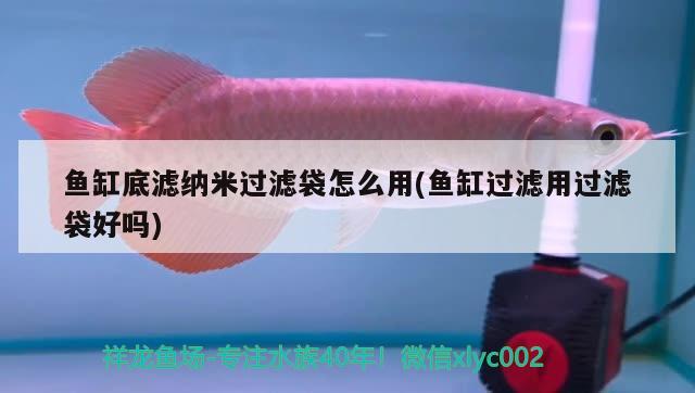 魚缸底濾納米過濾袋怎么用(魚缸過濾用過濾袋好嗎) 七彩神仙魚