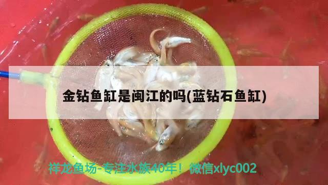 金鉆魚缸是閩江的嗎(藍(lán)鉆石魚缸)