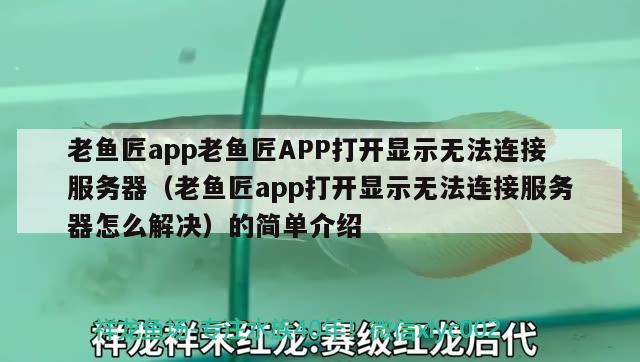 老魚匠app老魚匠APP打開顯示無法連接服務(wù)器（老魚匠app打開顯示無法連接服務(wù)器怎么解決）的簡(jiǎn)單介紹 老魚匠