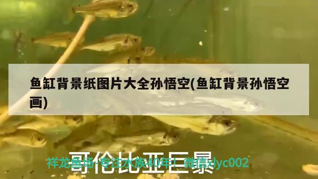 魚缸100升水放多少二氧化氯（100升水加多少二氧化氯）