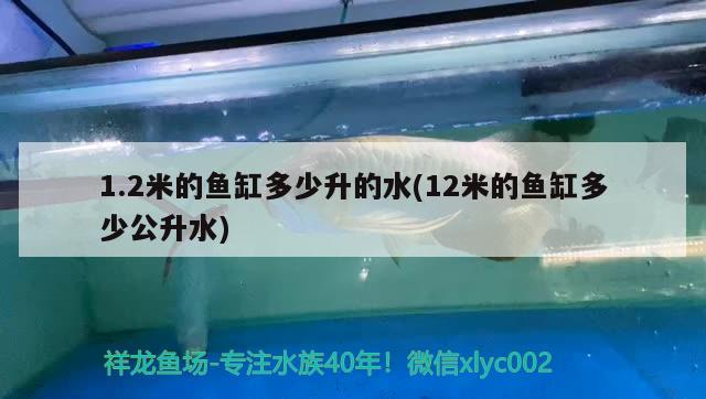 1.2米的魚缸多少升的水(12米的魚缸多少公升水)