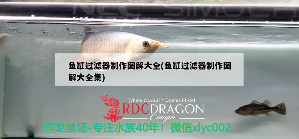 魚缸過濾器制作圖解大全(魚缸過濾器制作圖解大全集) 球鯊魚