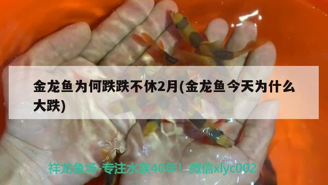 森森魚缸泵能調(diào)節(jié)抽水量及森森魚缸水泵怎么調(diào)節(jié)，森森魚缸泵能調(diào)節(jié)抽水量及森森魚缸水泵怎么調(diào)