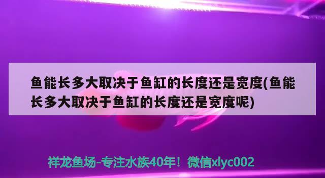 魚能長多大取決于魚缸的長度還是寬度(魚能長多大取決于魚缸的長度還是寬度呢)