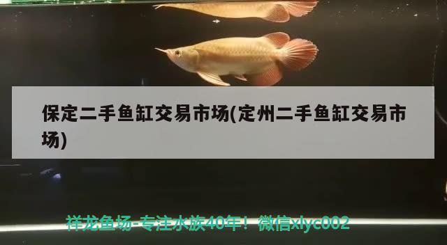 保定二手魚缸交易市場(定州二手魚缸交易市場) 水族世界