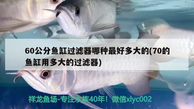 60公分魚缸過濾器哪種最好多大的(70的魚缸用多大的過濾器)