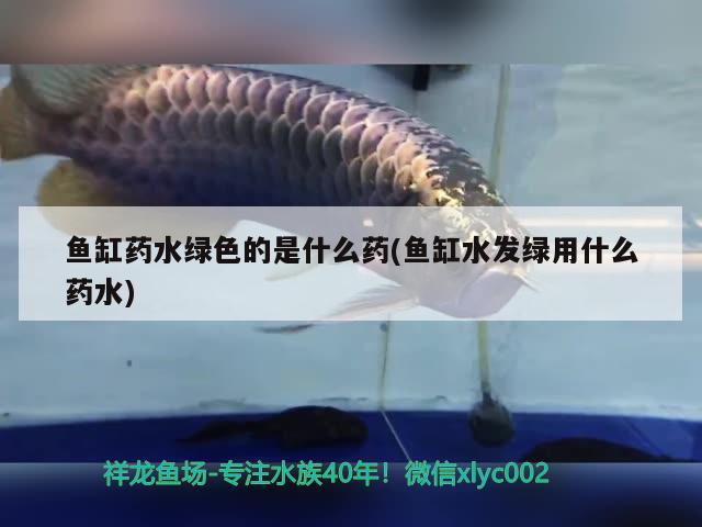 魚缸藥水綠色的是什么藥(魚缸水發(fā)綠用什么藥水)