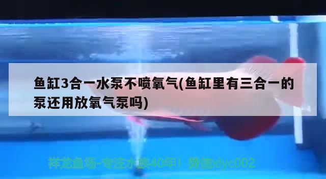 魚缸3合一水泵不噴氧氣(魚缸里有三合一的泵還用放氧氣泵嗎) 熱帶魚魚苗批發(fā)