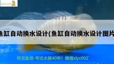 魚缸自動換水設(shè)計(魚缸自動換水設(shè)計圖片)