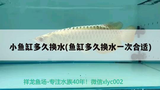 錦鯉魚(yú)品種介紹，銀色魚(yú)寓意什么