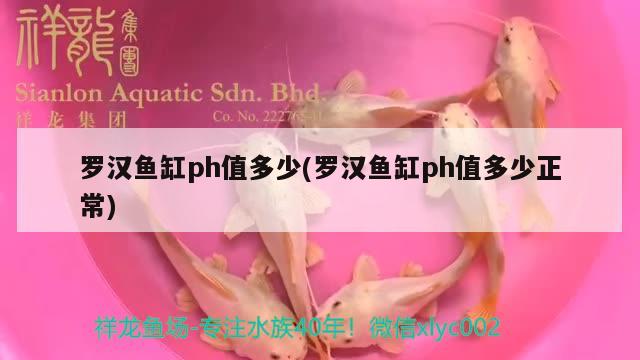 創(chuàng)寧變頻水泵新款老款有什么區(qū)別呢（創(chuàng)寧變頻水泵新款老款有什么區(qū)別呢）