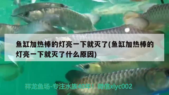 魚缸加熱棒的燈亮一下就滅了(魚缸加熱棒的燈亮一下就滅了什么原因)