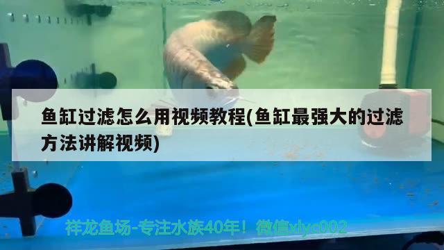 魚缸過濾怎么用視頻教程(魚缸最強(qiáng)大的過濾方法講解視頻)