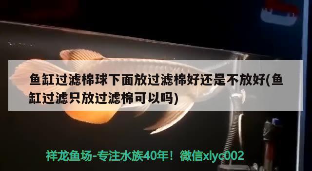 魚缸過濾棉球下面放過濾棉好還是不放好(魚缸過濾只放過濾棉可以嗎) 觀賞魚市場（混養(yǎng)魚）