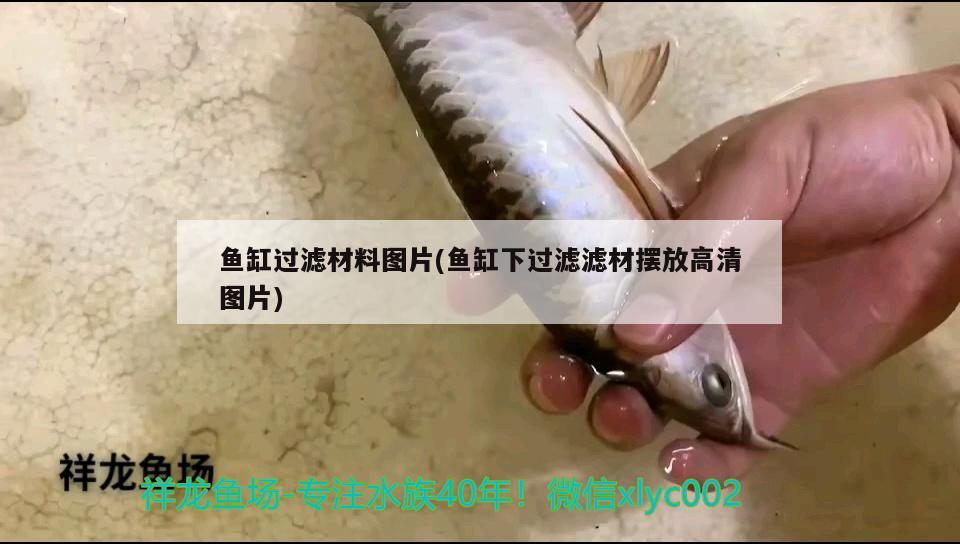 魚缸過濾材料圖片(魚缸下過濾濾材擺放高清圖片)