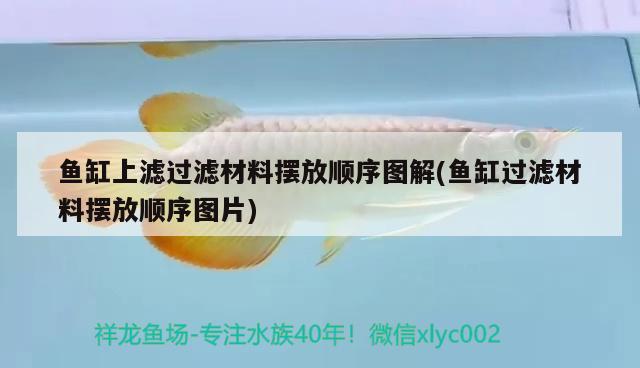 魚缸上濾過濾材料擺放順序圖解(魚缸過濾材料擺放順序圖片) 祥龍龍魚魚糧