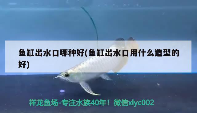 魚(yú)缸出水口哪種好(魚(yú)缸出水口用什么造型的好)