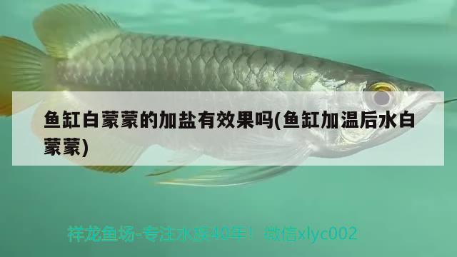 恐龍魚跳缸脫水能存活多久啊(恐龍魚跳缸脫水能存活多久啊視頻)