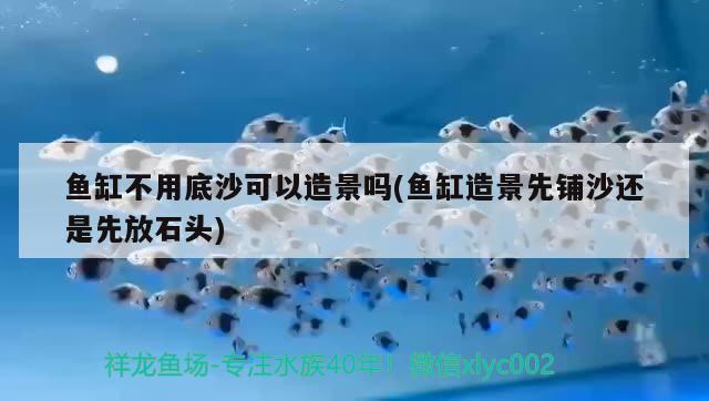 魚缸不用底沙可以造景嗎(魚缸造景先鋪沙還是先放石頭) 祥龍魚場(chǎng)