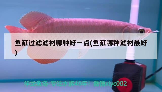 魚(yú)缸過(guò)濾濾材哪種好一點(diǎn)(魚(yú)缸哪種濾材最好)