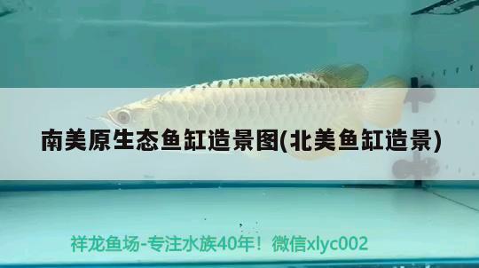 德陽魚缸訂做廠家（德陽魚缸訂做廠家電話） 廣州龍魚批發(fā)市場 第2張