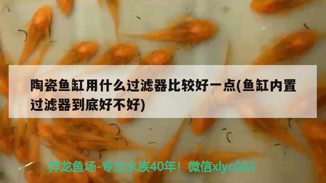 陶瓷魚(yú)缸用什么過(guò)濾器比較好一點(diǎn)(魚(yú)缸內(nèi)置過(guò)濾器到底好不好)