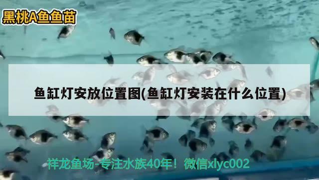 魚缸燈安放位置圖(魚缸燈安裝在什么位置)