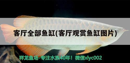 客廳全部魚(yú)缸(客廳觀賞魚(yú)缸圖片)